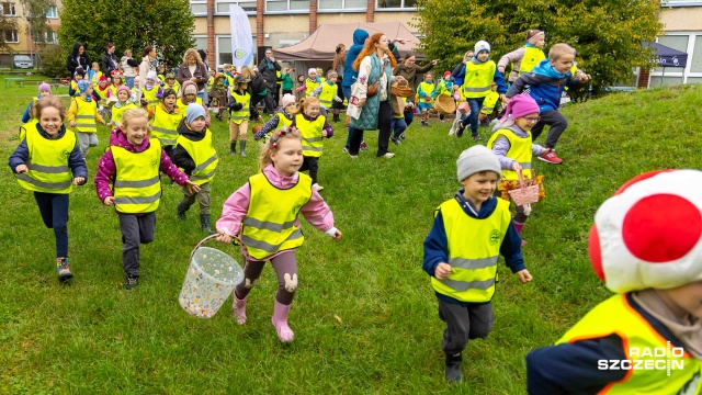 Najmłodsi szczecinianie chwycili za koszyki i ruszyli na poszukiwanie grzybów. W przedszkolu Zielona Wyspa odbyło się wielkie grzybobranie.
