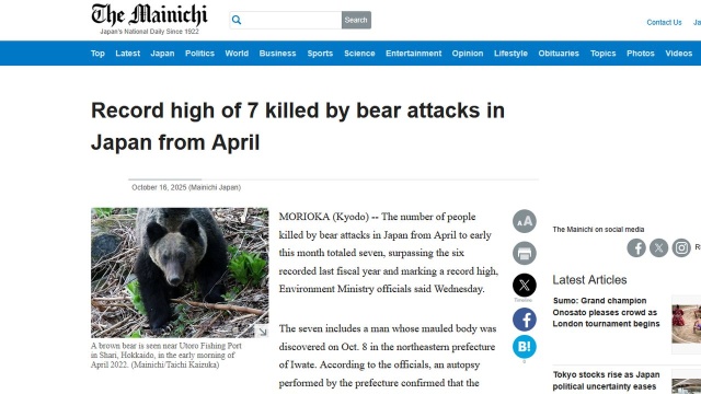 Co najmniej siedem osób zginęło w Japonii w wyniku ataków niedźwiedzi od kwietnia do początku października to nowy rekord - poinformował w czwartek dziennik Mainichi Shimbun. Naukowcy tworzą system oparty na sztucznej inteligencji, który ma ostrzegać przed spotkaniem z drapieżnikiem.