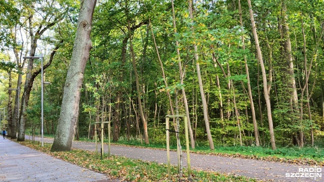 W Kołobrzegu trwa publiczna dyskusja na temat budowy tarasu widokowego w kształcie gigantycznej mewy. W internecie została założona petycja przeciwników tej inwestycji, a swoje podpisy złożyło już blisko 400 osób.