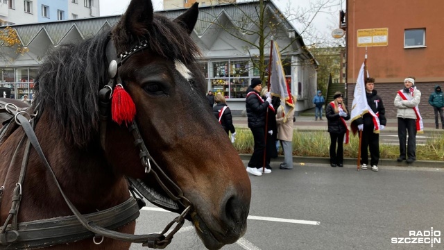 Samorząd Świnoujścia szykuje się do obchodów Święta Niepodległości.