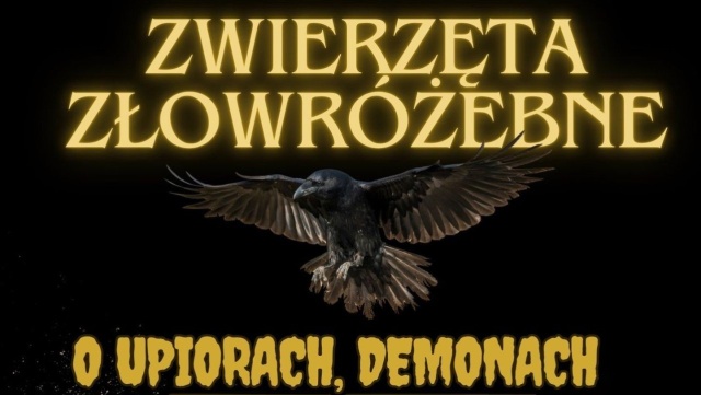 Dlaczego niektóre zwierzęta budzą w nas lęk Tego będzie można dowiedzieć się podczas halloweenowych zajęć w ośrodku rehabilitacji dzikich zwierząt w Wielgowie.