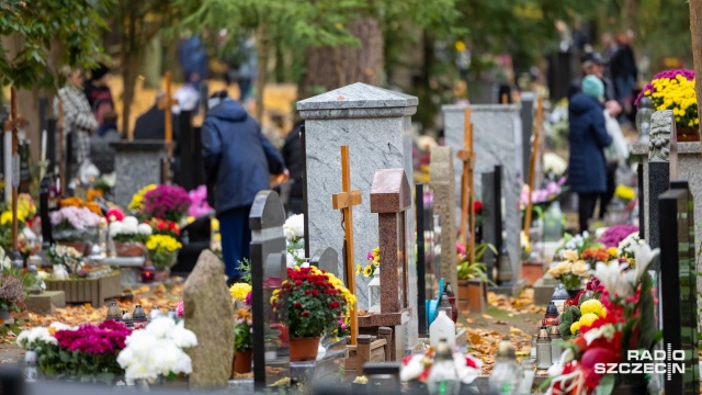 Buszują między grobami i czają się na znicze, kwiaty, ozdoby... i portfele. W okresie Wszystkich Świętych na cmentarzach nie brakuje nieproszonych gości.