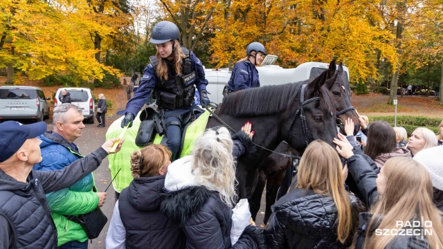 Przyzwyczajeni do zdjęć i gotowi na patrol. O bezpieczeństwo odwiedzających szczeciński Cmentarz Centralny dba dwóch najstarszych policjantów z kopytami. To doświadczeni: 15-letni Cynober i 14-letni Karmel.