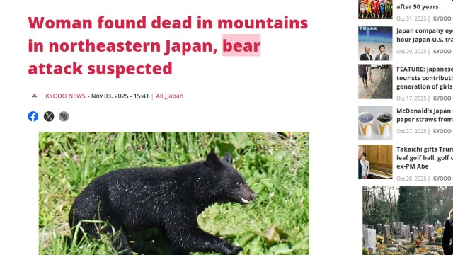 Ciało starszej kobiety prawdopodobnie zaatakowanej przez niedźwiedzia znaleziono w górach w prefekturze Akita na północnym wschodzie Japonii w innym ataku niedźwiedzia ranne zostały dwie osoby - poinformowała agencja Kyodo. To kolejne z serii incydentów z udziałem tych drapieżnych ssaków.