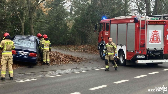 Samochód osobowy wypadł z jezdni i uderzył w drzewo. Do wypadku doszło na ulicy Chorzowskiej w Szczecinie.