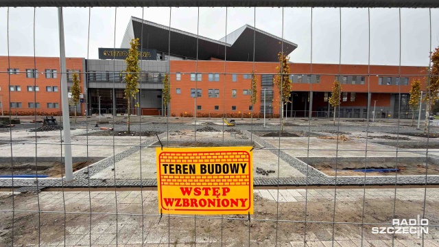 Beton idzie w odstawkę, a plac zyskuje zielony kolor: pierwsze dziewięć platanów pojawiło się przy szczecińskiej Netto Arenie, a w piątek dołączą do nich kolejne trzy.