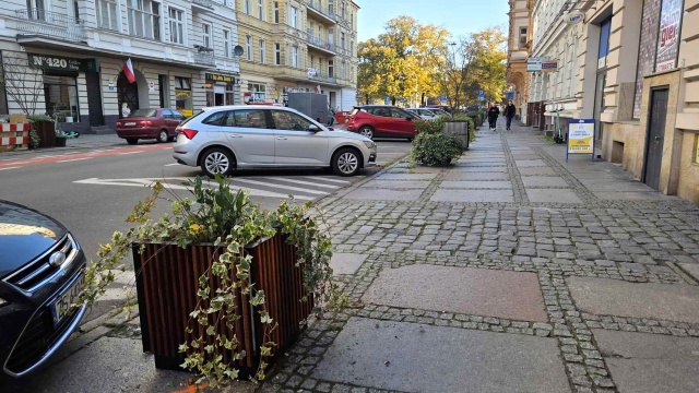 14 kompozycji roślin w donicach stanęło w śródmieściu w ramach projektu Szczecińskiego Budżetu Obywatelskiego - Zielone centrum.