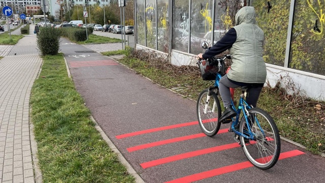 Czerwone paski pojawiły się na ścieżce rowerowej wzdłuż ulicy Wszystkich Świętych w Szczecinie. To tak zwane tarki na nawierzchni ścieżki.