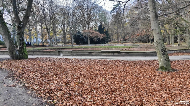 Co dalej ze zmianami w kołobrzeskim parku Antoniego Szarmacha Drugi przetarg na inwestycję zakończył się fiaskiem. Remont nie rozpocznie się zgodnie z wcześniejszymi planami miejscowych władz.