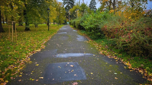 Ma być ładniej i wygodniej w stargardzkim Parku Batorego - jest wykonawca remontu jednej z dróg.