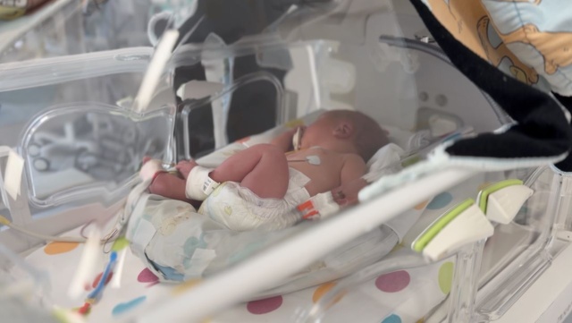 Szpital na szczecińskich Pomorzanach świętuje Światowy Dzień Wcześniaka.