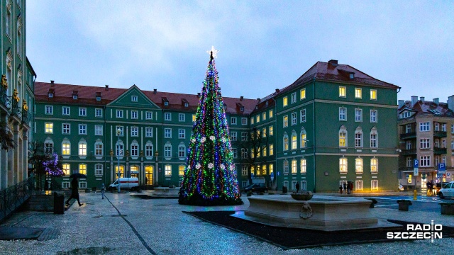Po 18 latach przed szczecińskim magistratem stanie nowa choinka.
