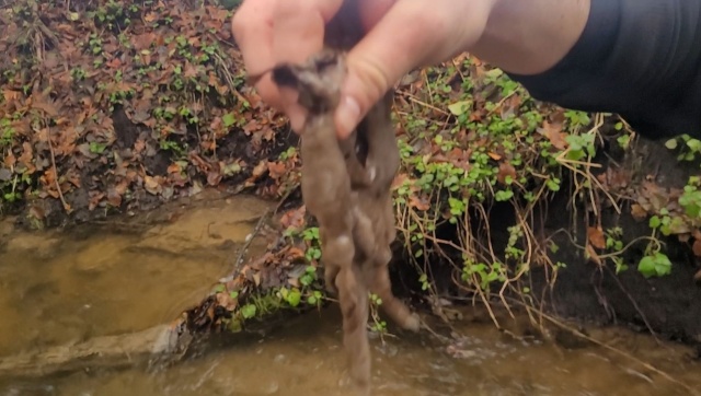 Zanieczyszczenie rzeki w powiecie kołobrzeskim. Chodzi o dopływ Parsęty na obszarze chronionym Natura 2000.