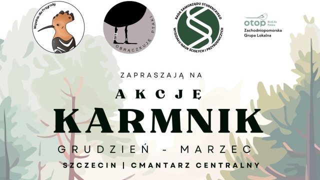 Na szczecińskim Cmentarzu Centralnym będzie można obserwować życie zimujących ptaków.