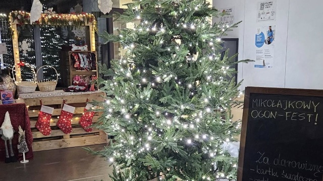 Szczecińskie schronisko, w którym przebywa 139 kotów i 86 psów, zorganizowało w sobotę imprezę Mikołajkową pod hasłem Ogon Fest, by zachęcić szczecinian do odpowiedzialnych adopcji, wolontariatu i zebrać datki na działalność placówki.