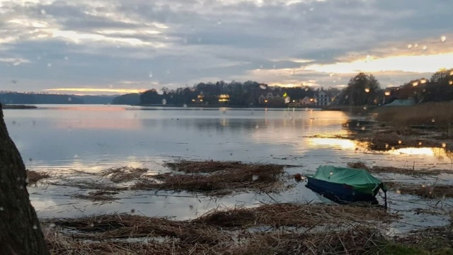 Ruszyło zimowe oczyszczanie brzegu Jeziora Barlineckiego. Prace obejmują usuwanie trzciny oraz samosiewów drzew i krzewów.