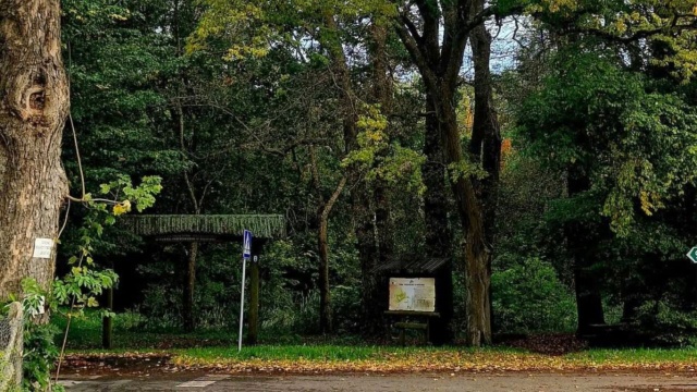 Gmina Ustronie Morskie otrzymała prawie 1,5 miliona złotych na odtworzenie dawnego parku pałacowego. Jest on zaprojektowany w stylu angielskim z elementami romantycznymi. Został założony na początku XIX wieku.