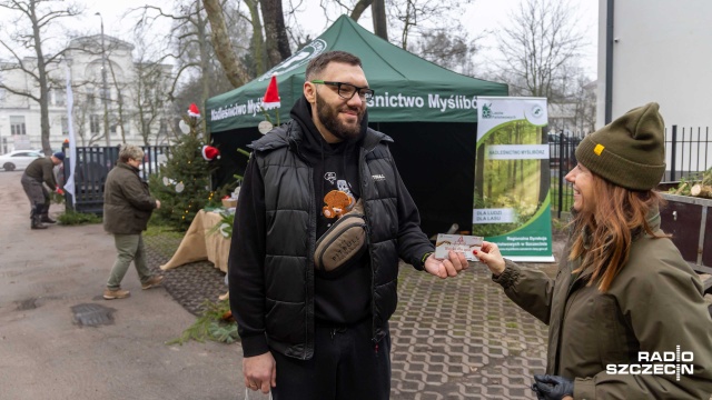 Oddając krew, można dostać świąteczne drzewko. Trwa piąta odsłona akcji Choinka dla życia - także w Zachodniopomorskiem.