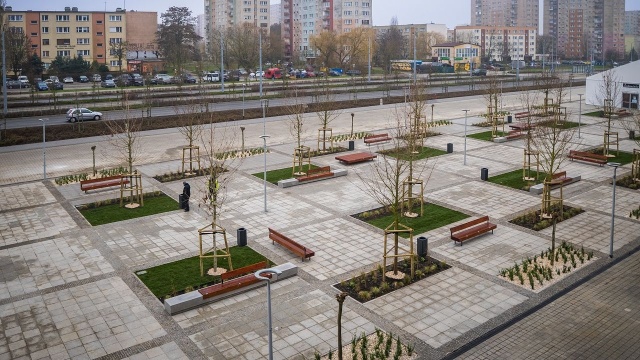 Był beton, są drzewa, trawy i krzewy, czyli prawie 500 metrów kwadratowych zieleni. Zmienił się plac przed szczecińską Netto Areną.