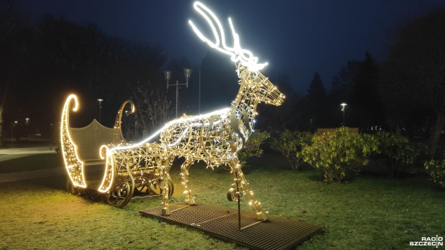 Były pawie, są renifery. Chodzi o ozdoby świąteczne, które w tym roku pojawiły się na ulicach Kołobrzegu.
