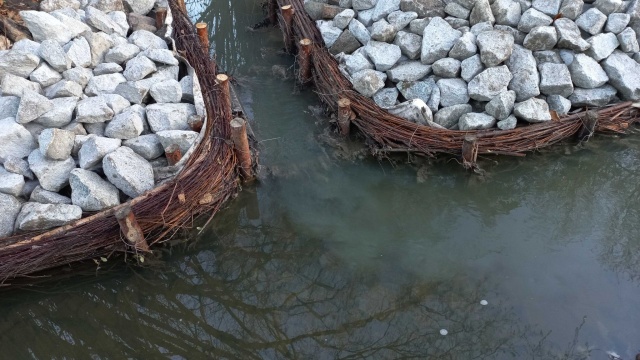 Bukowa znów zanieczyszczona ściekami