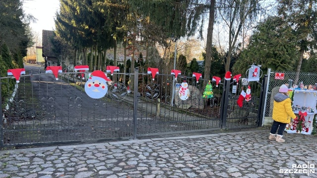 Wszędzie - od znaków drogowych po kosze na śmieci - pojawiły się świąteczne akcesoria. To kolejny pomysł sołtyski Doroty Bogdanowicz, właścicielki gigantycznej kolekcji długopisów, znanej jako Babka z Piasku.