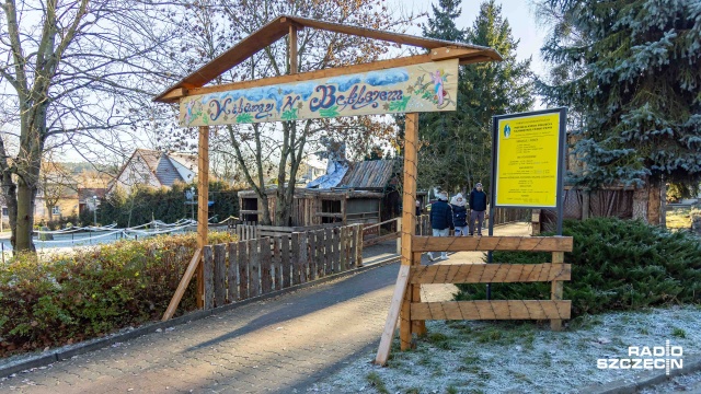 Zwierzęta już są na miejscu - alpaki, owce, kozy i króliki rozglądają się po stajence, a organizatorzy dopieszczają dekoracje. W szczecińskich Żydowcach trwa odliczanie przed otwarciem Żywej Szopki.