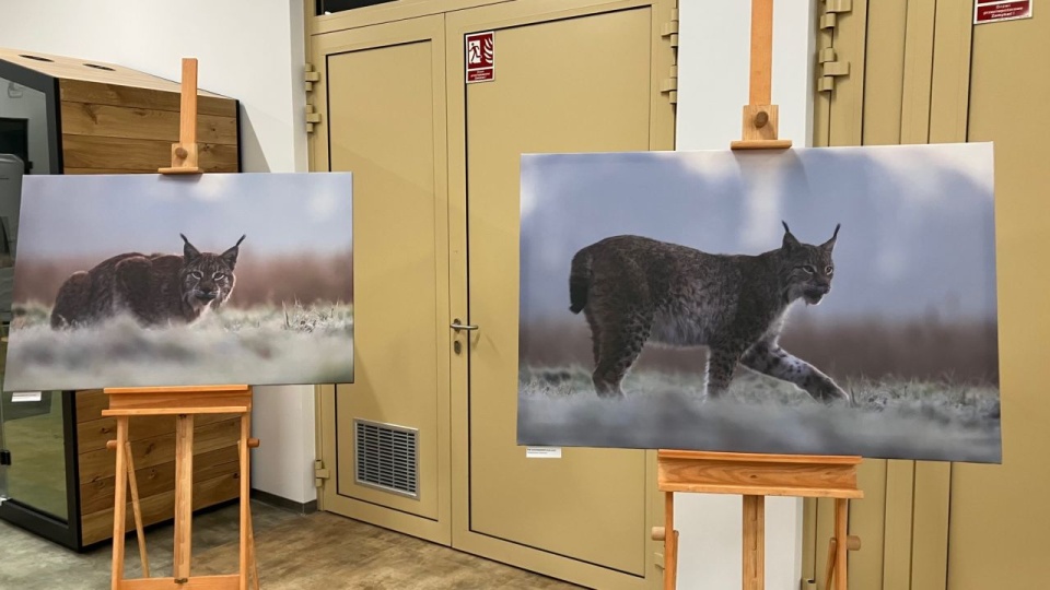 Fot. Małgorzata Frymus [Radio Szczecin]