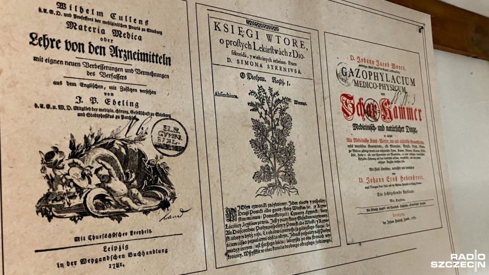 Fot. Joanna Maraszek [Radio Szczecin]