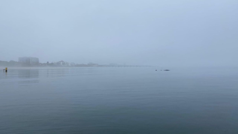 Fot. Morska Służba Poszukiwania i Ratownictwa