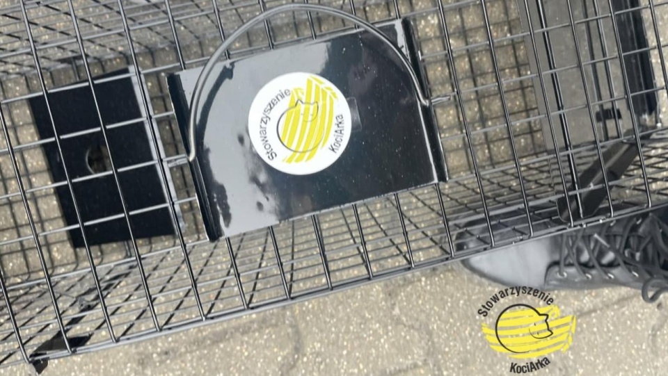 Mat. Stowarzyszenie KociArka.