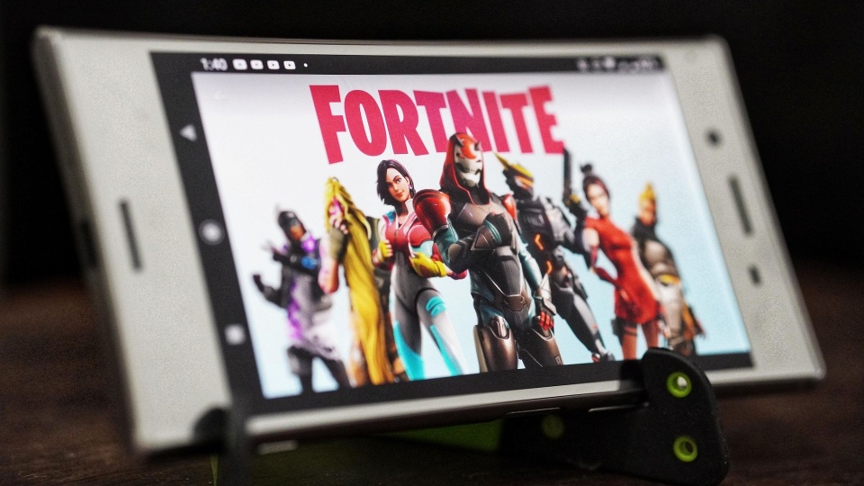 Fortnite, darmowa gra międzyplatformowa. Fot. pixabay.com / amrothman (domena publiczna)