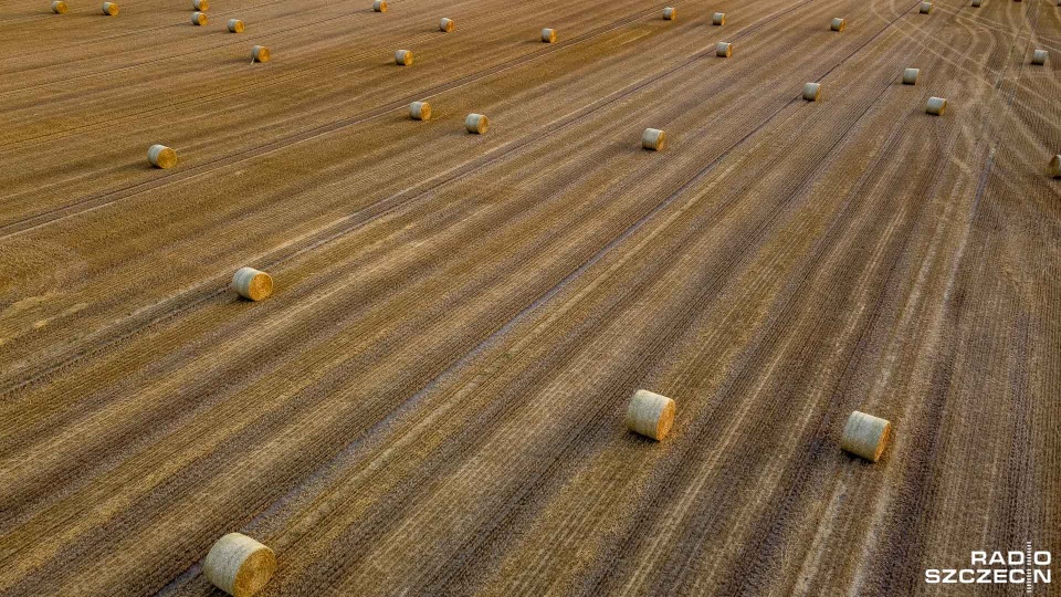 Fot. Robert Stachnik [Radio Szczecin]