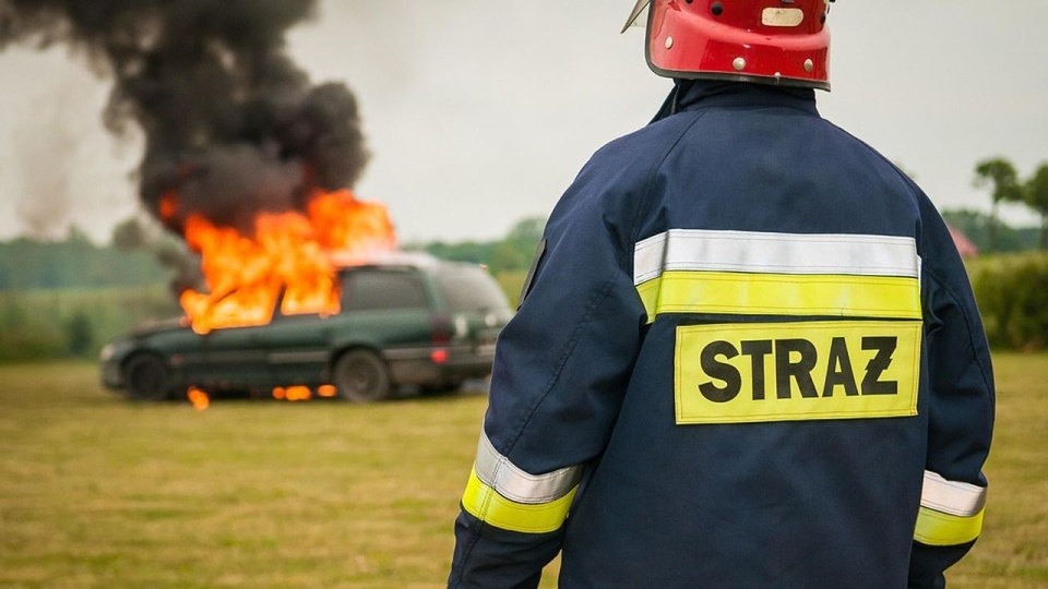 źródło: https://pixabay.com/pl/484541/jackal211/CC0 - domena publiczna