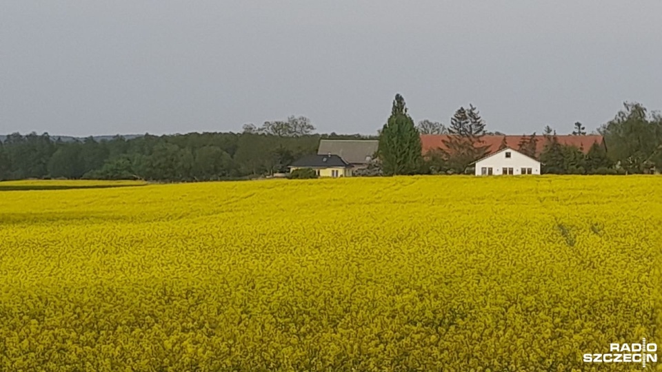 Rolnicy martwią się suchą wiosną