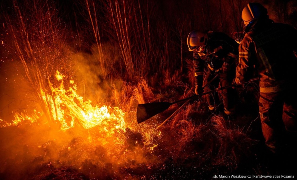 Fot. PAP/PSP/str. Marcin Waszkiewicz
