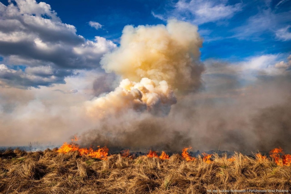 fot. PAP/PSP/mł. asp. Łukasz Rutkowski