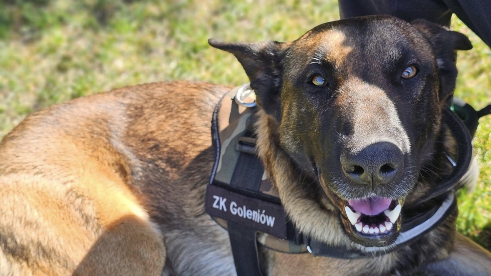 Fot. Służba więzienna.