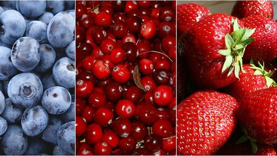 źródło: https://pixabay.com/pl/1499900/Maklay62/CC0 - domena publiczna