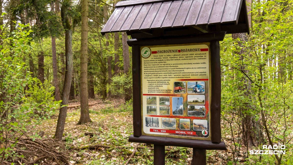 Fot. Robert Stachnik [Radio Szczecin]