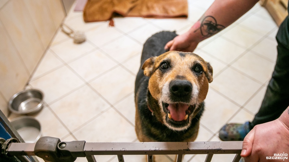 Zdjęcie ilustracyjne. Fot. Weronika Łyczywek [Radio Szczecin]