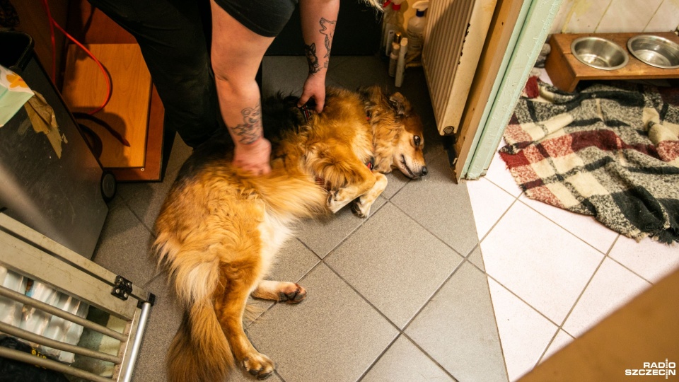 Zdjęcie ilustracyjne. Fot. Weronika Łyczywek [Radio Szczecin]