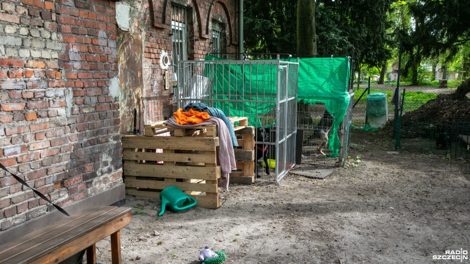 Zdjęcie ilustracyjne. Fot. Weronika Łyczywek [Radio Szczecin]