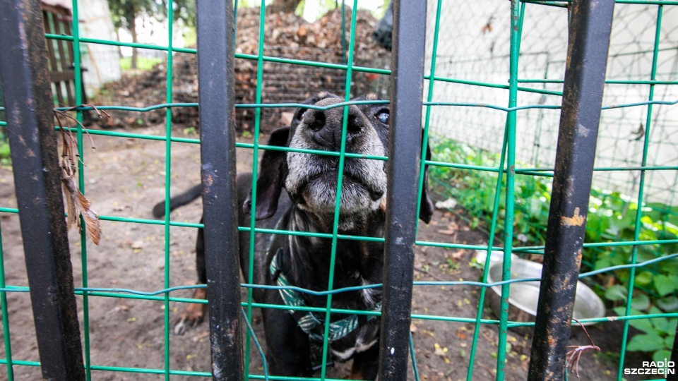 Zdjęcie ilustracyjne. Fot. Weronika Łyczywek [Radio Szczecin]