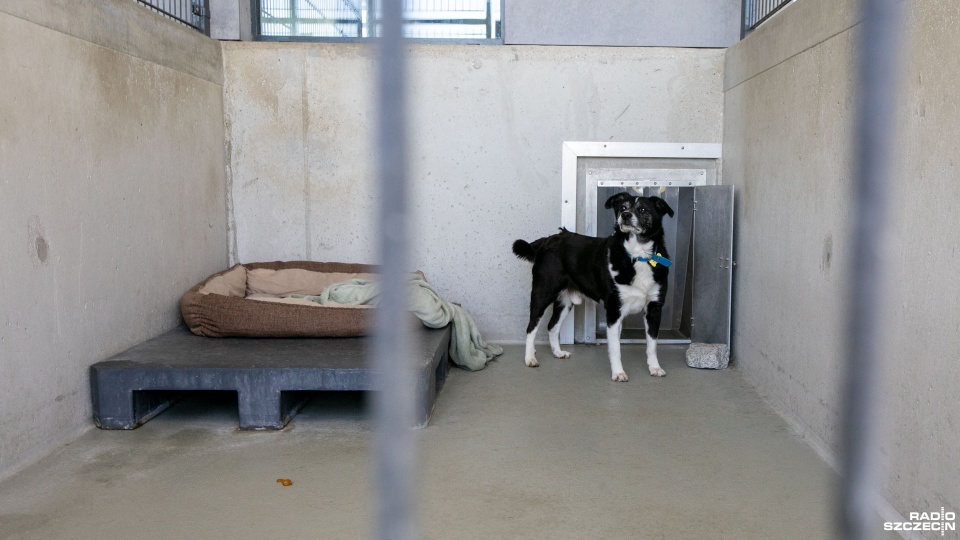 Fot. Weronika Łyczywek [Radio Szczecin]