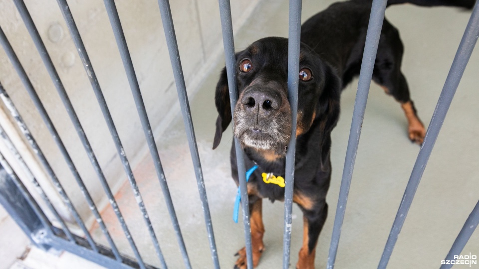 Fot. Weronika Łyczywek [Radio Szczecin]