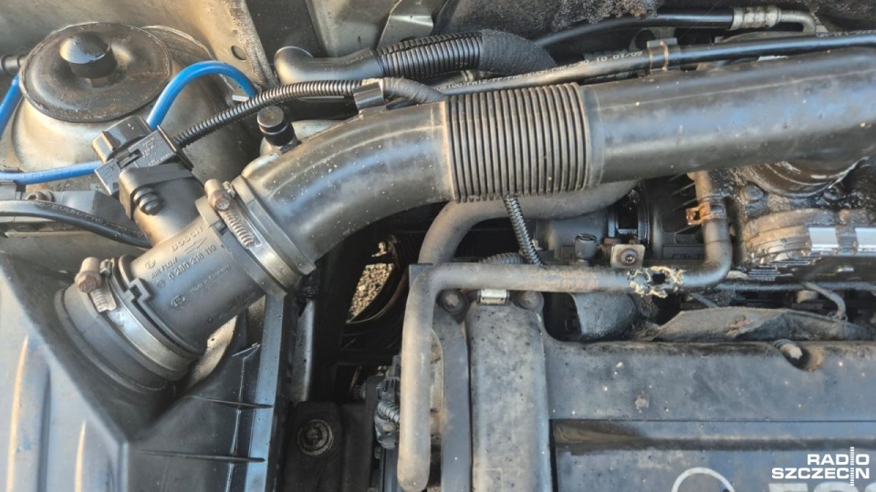 Fot. Dorota Zamolska [Radio Szczecin]