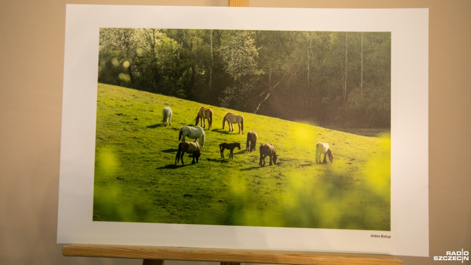 Fot. Weronika Łyczywek [Radio Szczecin]