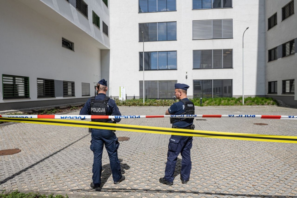 Fot. PAP/Art Service