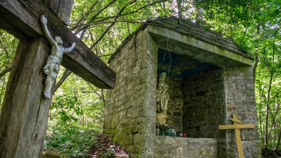 Puźniki na zachodzie Ukrainy. Rozpoczął się kolejny etap prac ekshumacyjnych. Według różnych źródeł ukraińscy nacjonaliści zabili tam od 50 do 120 Polaków. Są to pierwsze ekshumacje od ogłoszenia pod koniec listopada 2024 r. zniesienia przez stronę ukraińską zakazu poszukiwań i ekshumacji szczątków polskich ofiar wojen i konfliktów na terytorium Ukrainy. PAP/Vladyslav Musiienko